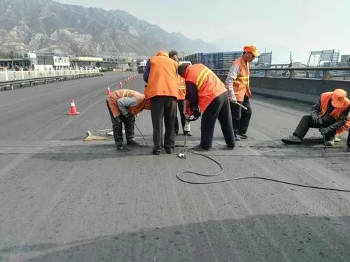 高港道路桥梁病害治理